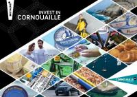 Brochure Invest in Cornouaille (juin 2018)