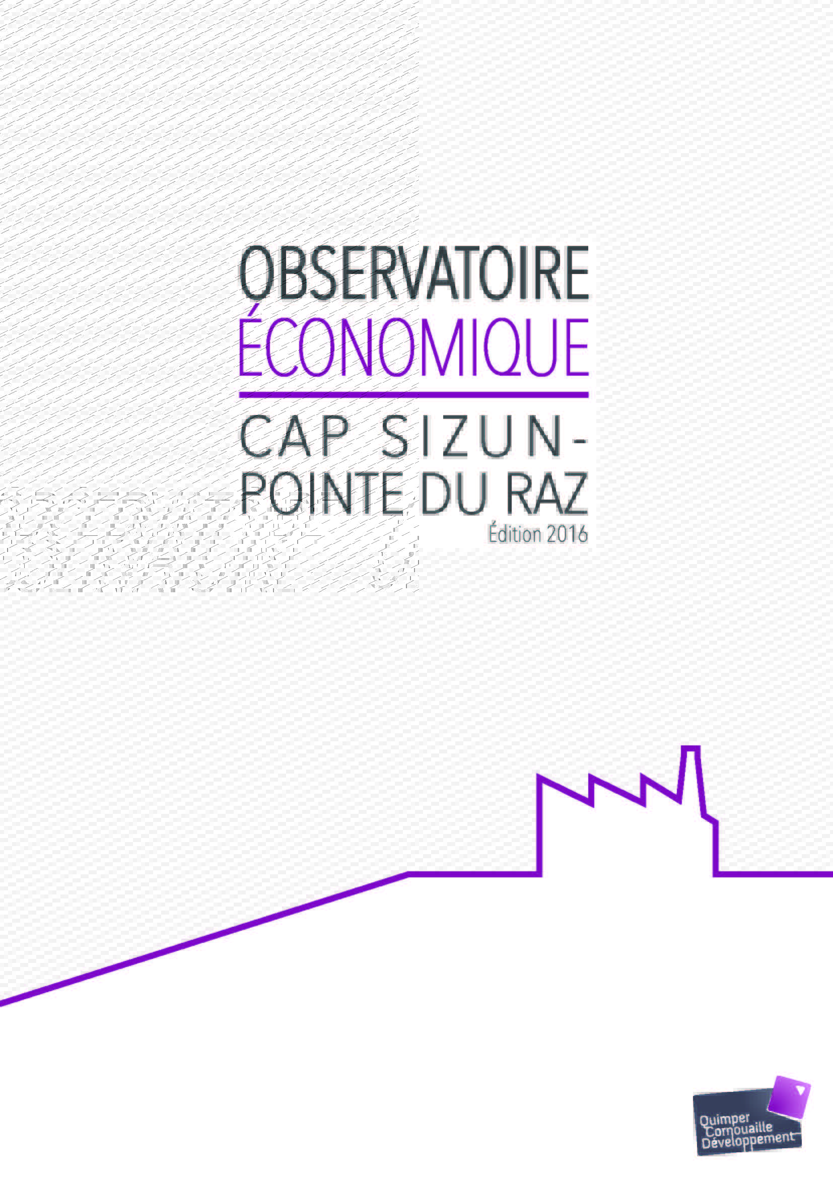 Observatoire Economique Cap Sizun - Pointe du Raz. Edition 2016 (06/2017)