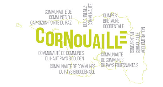 Carte Cornouaille graphique (roll up)