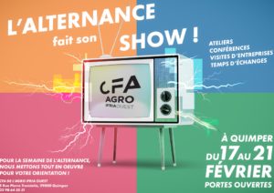 Affiche l'alternance fait son show IFRIA