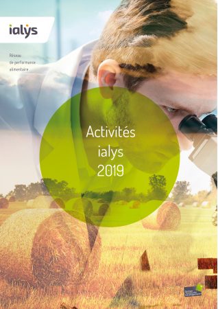 Rapport d'activités 2019 ialys