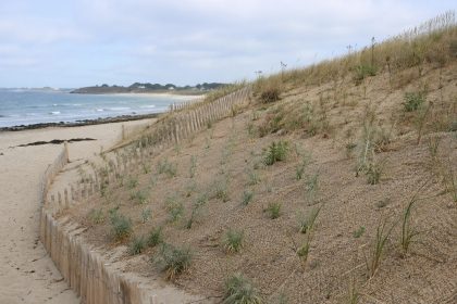 erosion consolidation dune