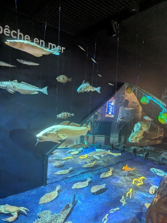 Haliotika nouvelle scénographie
